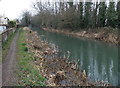 Canal and path towards Roving Bridge, Newtown