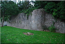 SM9801 : Town Walls, Pembroke by N Chadwick