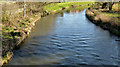 J2085 : The Sixmilewater, Dunadry (1) by Albert Bridge