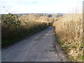 TR0953 : Pickelden Lane seen from the Stour Valley Walk by Marathon