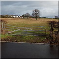 Distorted field gate, Station Road, Raglan