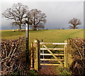 Gate to Raglan Healthy Footsteps path, Raglan