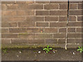 Bench mark, Derby Road culvert over the River Leen