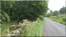 NO3322 : Road beside Flisk Wood by Richard Webb