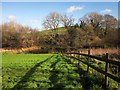 Lake at Luccombes Coarse Fishery