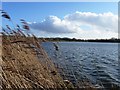 Willen Lake