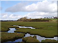 Pools In The Merse