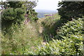 Footpath on Carn Marth