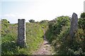 Old Granite Gateposts on Carn Marth