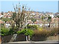 Houses around Crow Hill