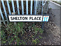 TM4289 : Shelton Place sign by Geographer