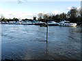 TQ1068 : River Thames in flood by Alex McGregor