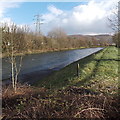 Riverbank track, Upper Boat