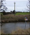 Electricity poles across the River Aln