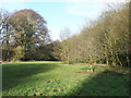 The permissive riverside path crossing a meadow