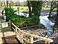 Flow from the River Kennet, Marlborough