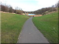 Path and Fishing Lake Silksworth Park