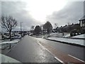 Dovedale Road Snow