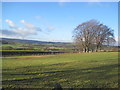 Farmland and Disused Railway Line