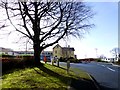 Western Education & Library Board, Omagh