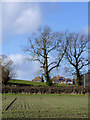 Farmland near Wombourne, Staffordshire