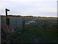 Footpath to Mitford