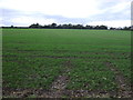 Farmland west of Mareham Lane