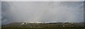 View from the railway towards Long Length, Caersws