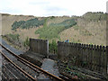SN7377 : The Vale of Rheidol Railway foot crossing at Ty'n-y-castell by John Lucas