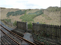 SN7377 : The Vale of Rheidol Railway foot crossing at Ty'n-y-castell by John Lucas