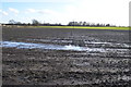 Waterlogged field off Churn Lane