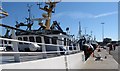 Trawlers berthed on the west side of Kilkeel Harbour