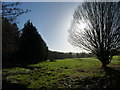 Land and road in the grounds of The Rolls of Monmouth Golf Club