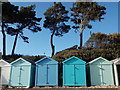 Mudeford: beach huts and pine trees