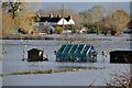 Fordgate : Flooded Gardens