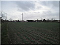 Field  edge  footpath  back  to  Bilton  and  B1238