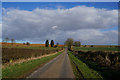 Minor road leading to Ludford