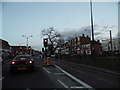 Rushey Green, Catford