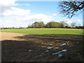 Fields by White House Farm