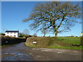 Tal-y-coed Lane, Tal-y-coed