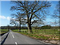 The B4233 from the entrance to Park Farm, Llantilio Crossenny