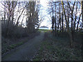 Uphill path in Maryon Wilson Park