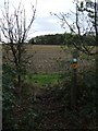 Footpath to Fields Farm