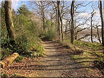 SX4460 : Path, Warleigh Wood by Derek Harper