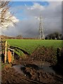 Pylon near Roborough