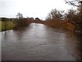 A Swollen River Derwent from Allestree Ford Bridge