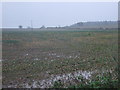 Soggy farmland, Ambion Hill