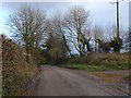 Bridleway at Handsford Farm