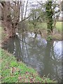 The Winford Brook above Chew Magna reservoir