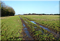 Flat Farmland North of Cow Lane